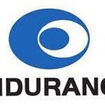 Endurance logo